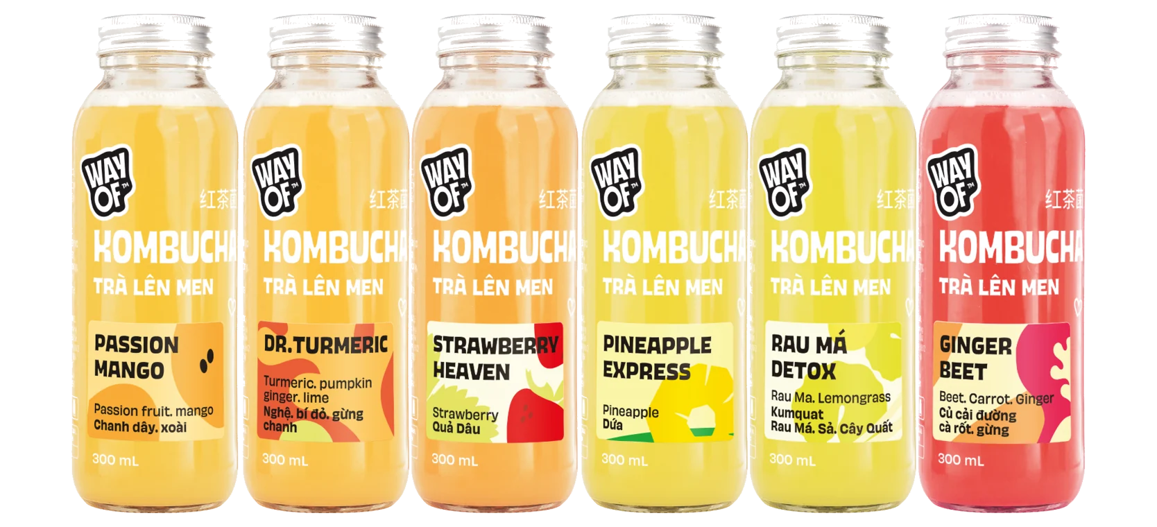 Sản phẩm Kombucha